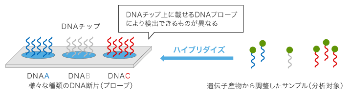 DNAチップの種類と特長