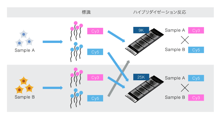 実験デザイン