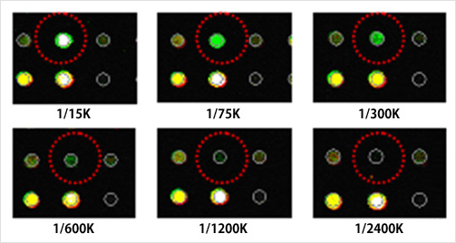 3D-Gene® Yeast Oligo chip 6kの感度画像