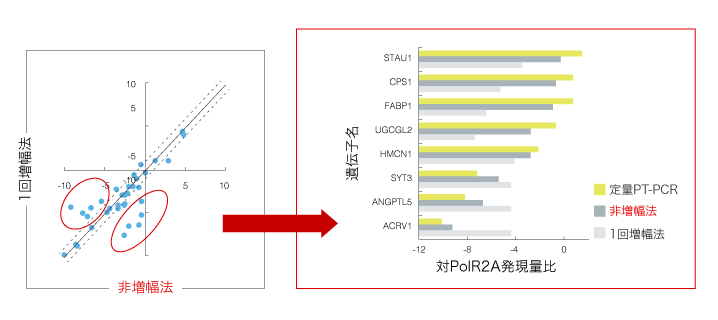 非増幅法と増幅法の検出結果比較