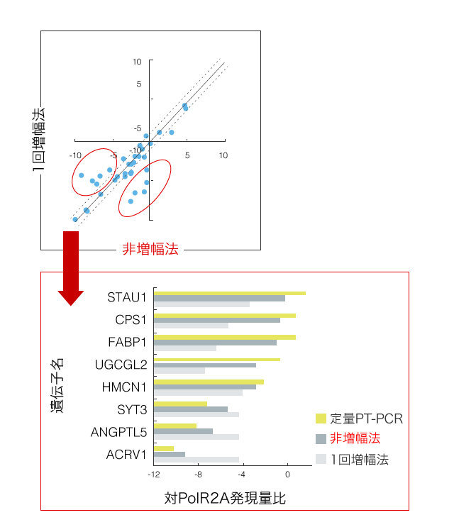 非増幅法と増幅法の検出結果比較