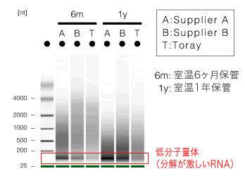 抽出処方とRNAの品質