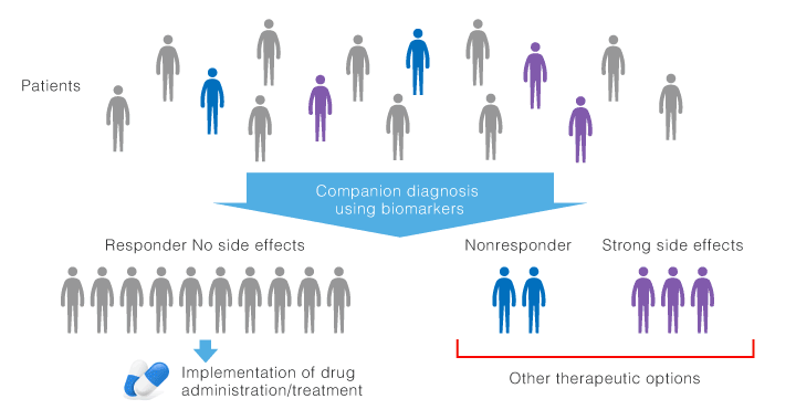 What is companion diagnosis ?