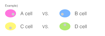 individual combination experimental system