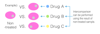 Related experimental system (Drugs, gene KO, gene introduction, time (limited))