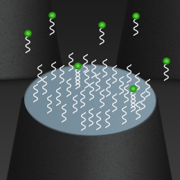 Special surface modification for probe immobilization