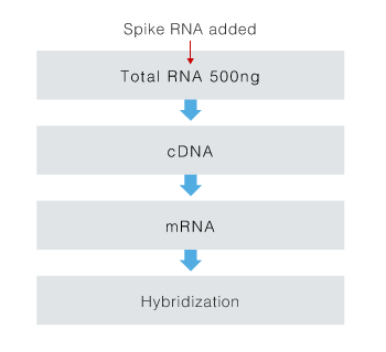 Sample processing flow