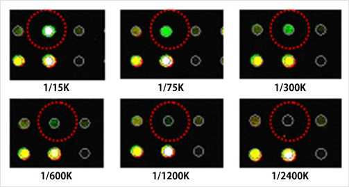 Images of 3D-Gene® Yeast Oligo chip 6k sensitivity