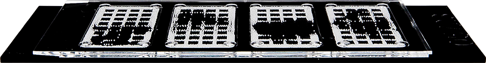 3d Gene Toray Dna Chips Toray