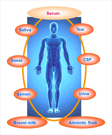 Analysis of circulating miRNA in plasma or serum