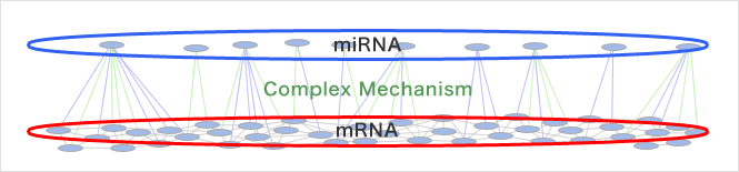 Correlation between miRNA and mRNA and integrated analysis