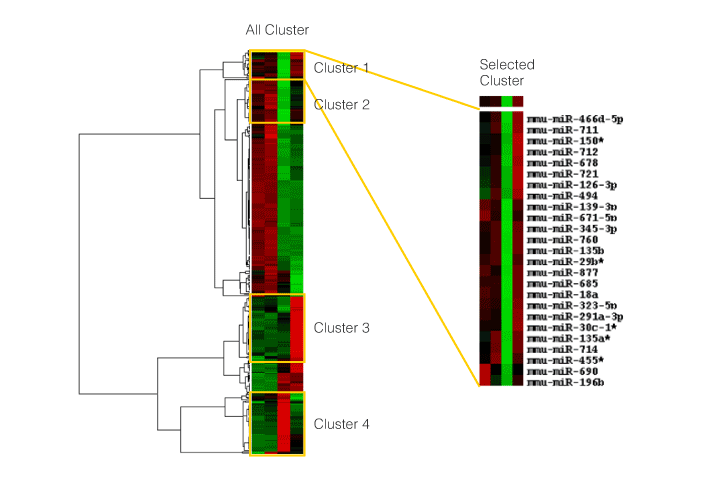 Data analysis for miRNA