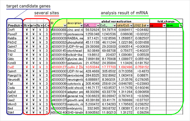 Search for target candidates and checking against mRNA analysis data