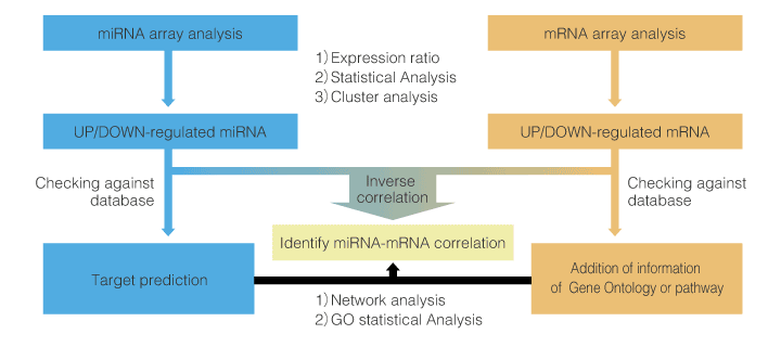 Summary of integrated analysis