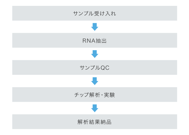 サービスの概要