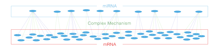 miRNAとmRNAの関係と統合解析