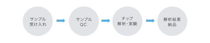 サービスの概要