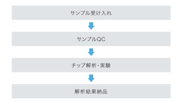 サービスの概要